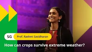 Why do we need climate-resilient crops?