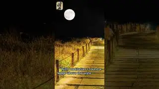 Guided Meditation-Daily Best Meditation Quotes