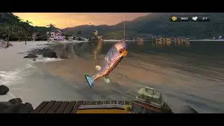 Fishing Clash 21012310
