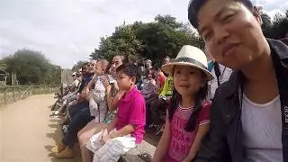 Puy Du Fou