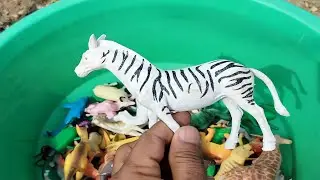 🦁 Plastic Animal Toys Unboxing Order from Flipkart: Lion, Tiger, Leopard,  Fox, Stag & Deer 🐯🦖🦊🦌