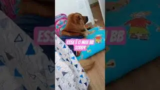 #@Meu choulata Toddy