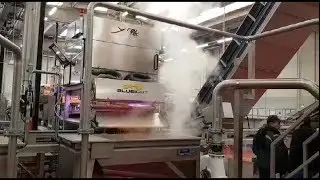 Spray optical sorting machine for diced carrots | RAYTEC VISION SpA