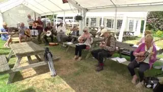 Phoenix Bluegrass Weekend, July 2017, Gospel Music Session
