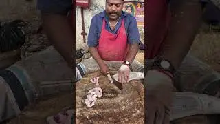 KASIMEDU SPEED SELVAM FISH CUTTING 🔥