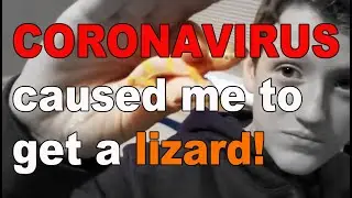 Terrarium Unboxing & Setup / Zilla Tropical Vertical Kit