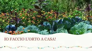 IO FACCIO L' ORTO A CASA! - 1^ puntata