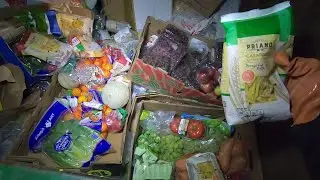 Dumpster Diving Aldi for Free Food #24