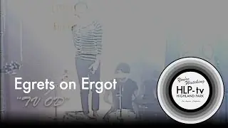 Egrets on Ergot | 