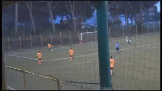 VDM7