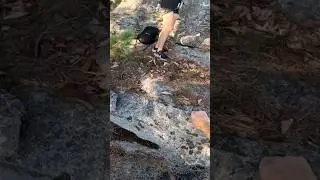 Accidently scaring someone on a #freesolo at the Gunks
