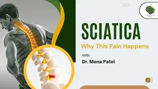 Sciatica: Why Pain Travels from Back to Leg | Part 1