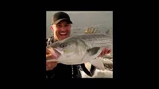 Blue fin tuna fishing in Canada #shorts