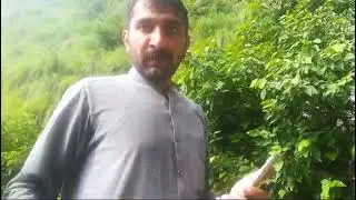 Very beautiful water falls in Rustam mardan pakistan