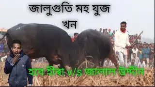 bhabe hira v/s jalal uddin//moh juj//@narayankalita5094 2023 new