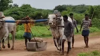 August 27, 2025
