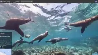 Une caméra qui sonde les fonds marins - FutureMag