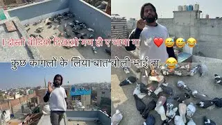 दोस्तों आज भाई ना दो बात बोली 🕊️❤️😅😅😅😂#trending #viral #youtubevideo #kabutarandekabdetehain 