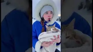 Helicopter Saves Freezing Mother Cat & Babies in Snow ❄️❤️ #missiontorescue #rescuehq #shorts #cat