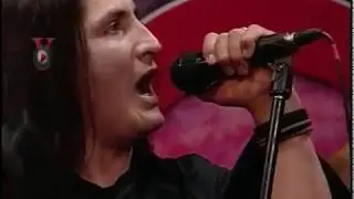 ARMADURA   VIVO POR AXESSO