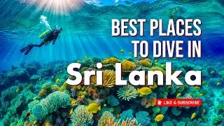 Top 5 Best Places To Dive In Sri Lanka