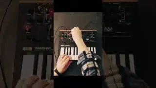 Making a Reese bass on the Korg Monologue