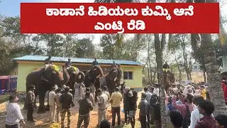 ಕಾಡಾನೆ ಹಿಡಿಯಲು ಹೊರಟರು ಕುಮ್ಕಿ ಆನೆ ಟೀಮ್ ಎಂಟ್ರಿ ರೆಡಿ | sugreeva Elephant team capture today, Bikkodu￼