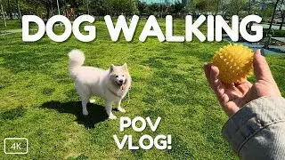 A Relaxing Stroll with My Dog in the Park: POV Dog Walking Vlog [4K]