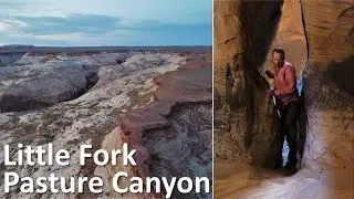 Little Fork of Pasture Canyon, Robbers Roost, Utah