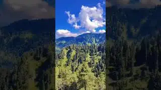 Hill Top Malam Jabba| Beautiful View| Swat