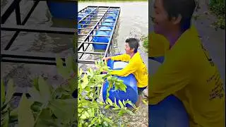Creating a floating platform using plastic floating barrels