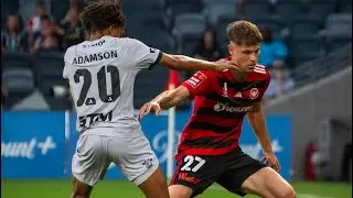 James Temelkovski  (2025 highlights)