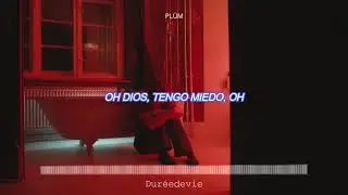 PL&Uuml;M - Flower //Subtitulado al Espa&ntilde;ol//