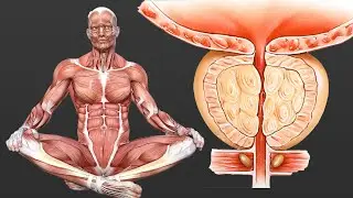 Varicocele exercise for men