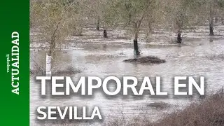 Campos anegados tras el desbordamiento del r&iacute;o Guada&iacute;ra por Arahal (Sevilla)