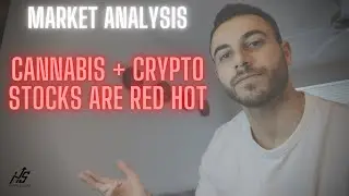 Will the Cannabis and Crypto Rally Keep Going?
