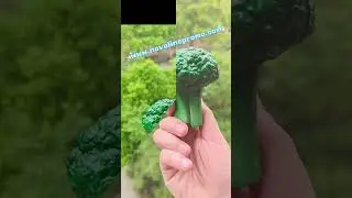 Broccoli Stress Ball-Novoline Promotions #promotional products #toys