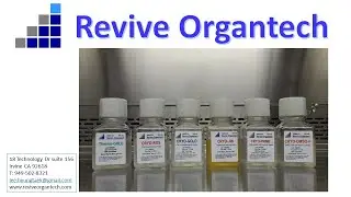 CRYO-PRIME, Organoid, Spheroid, CAR-T, NK-T, Macrophage, immune cell freezing media