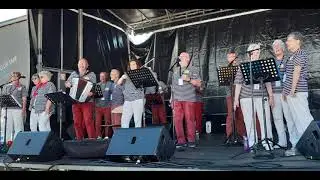 Fêtes maritimes de BREST - Concerts GWEN AOD