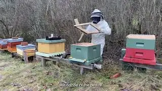 Treating Beehives for Varroa Mites: Oxalic Acid Sublimation| Kit for Beekeepers