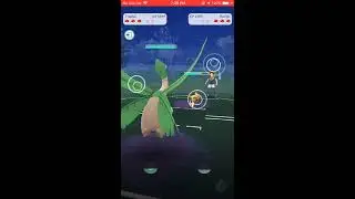 [ROUND 209] (PokemonGO PvP) SKARMORY+TROPIUS+PRIMEAPE VS RAICHU+TYPHLOSION+REGISTEEL!!!