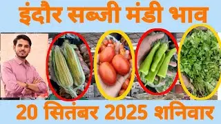 20 सितंबर 2025 indore sabji mandi bhav #sabjimandiindore #indoremandi #vegetablemarket 