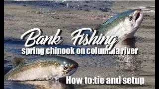 Columbia river salmon???the   how to:  bank fish for spring salmon