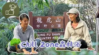 凝聚香港 - 玩樂好去處 - 行龍虎山路段，做輕鬆森林浴！