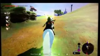 The Lord of the Mountain cannot be registered in Breath Of The Wild