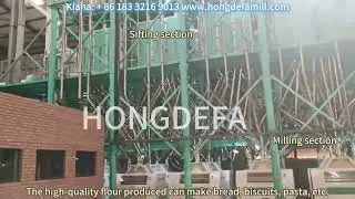 Hongdefa 200TPD Wheat Flour Mill Running Successfully in Zimbabwe | Modern Milling Solutions