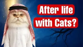 Что Ислам говорит о животных в Судный день