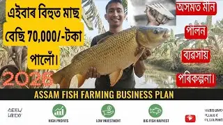 কেনেকৈ অসমত মীন পালন ব্যৱসায় পৰিকল্পনা কৰিব পাৰি। ASSAM FISH FARMING BUSINESS PLAN.Moriga fish farm