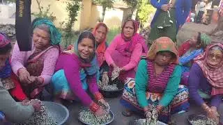 गांव की शादी में इंजॉय आपको मैं मंगल स्नान नहीं दिखा पाए क्योंकि मैं वहां  नहीं जा पाही