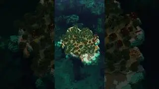 Minecraft Abandoned Island Village Seed!